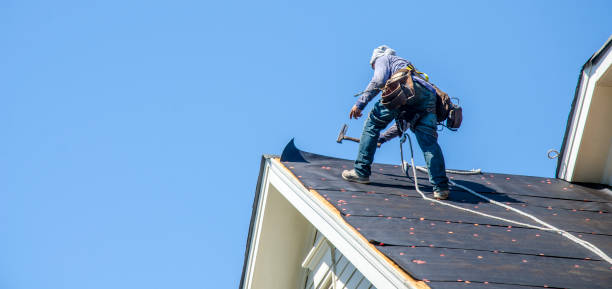 Best Roof Gutter Cleaning  in Stratmoor, CO
